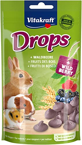 Vitakraft Drops, friandises pour rongeurs, saveur fruits des bois, nourriture pour rongeurs, sans sucre ajouté (1x 75g)