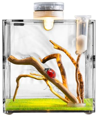 Reptile Cage House, Acrylic Terrarium for Jumping Spider Growth - Transporter This 360 Degree Clear Small Animal Fence for Lizards, Beetles, Turtles, Slugs