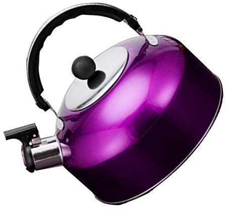 Sharplace Stainless Steel Whistling Kettle for Outdoor Outdoor Camping Hiking Travel Boat or Indoor Home Gas Electric Hot Plate