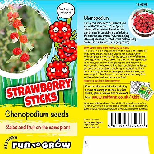 Suttons Strawberry Seeds, Strawberry Sticks, Chenopodium, Fruit Seed, Grow Your Own Fruit, Approx. 25 Seeds Per Pack