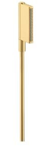 hansgrohe AXOR One teleducha 2jet, 45720250, Color: Brushed Gold Optic