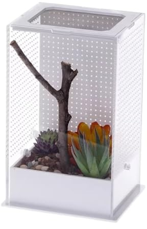 Faunarium Insektenbox Reptilien-Zuchtbox, Aufbewahrungs- Und Beobachtungsbox for Spinnengrillen Schnecken Terrarium(15x8.5x10cm)