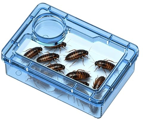 Mangeoire pour Reptile - Gamelle Anti-Évasion avec Compartiment à Poudre de Calcium pourr Gecko Léopard | Idéal pour de Farine et Insectes Vivants | Écuelle de Nourriture pourr Lézards Caméléons