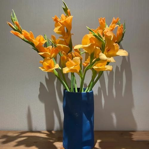 bulbi di gladioli - in giardino all'aperto resistenti interni con bulbi perenni resistenti giardino ed esotici - serie rara balcone 20pcs