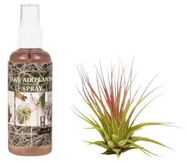 Planta del Aire Fire Color Rojo + Spray para Tillandsias con Abono Natural Ecológico