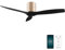 Cecotec - Deckenventilatoren EnergySilence Aero 5500 Aqua GoldBlack Connected, DC 40 W Motor, Wi-Fi-Steuerung, Innen- und Außengebrauch, 3 Flügel, 6-Geschwindigkeit, Gold & Schwarz