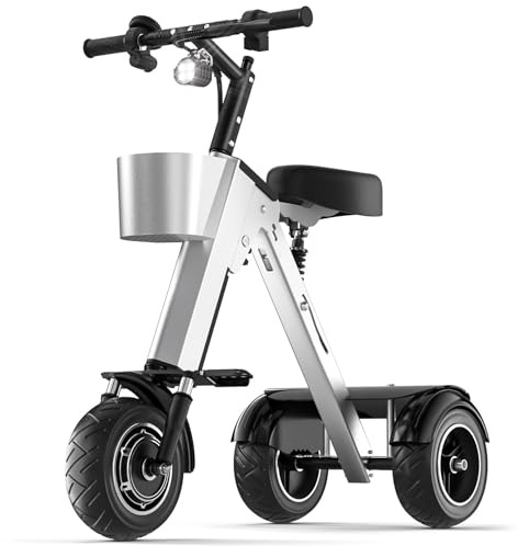 Patinete Electrico Adultos Tres Ruedas, Bici Electrica Plegable con Batería Extraíble, Velocidad Ajustable, Tres Velocidades, para Desplazamientos Y Viajes, Marcha Atrás(For 2 People)