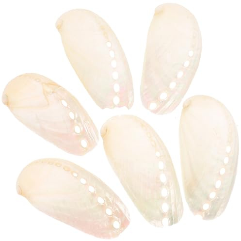 MAGICLULU 6 Pièces de Coquilles D'ormeau Perlé Naturel Beige 4 à 6cm Décoration Style Plage pour Mariage Accessoires Décoratifs