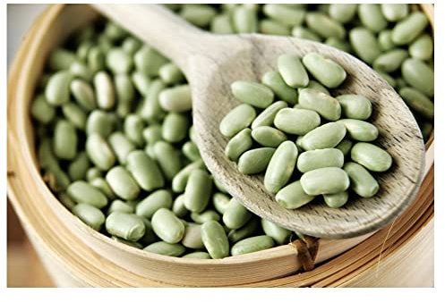 Sachet de graines de Haricot nain à écosser Verdelys 115g (flageolet vert du Nord) - 115 g - Haricot nain à écosser - LES GRAINES BOCQUET