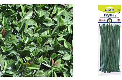 TENAX Divy 3D Plus Photinia, Siepe Sintetica 1,00x3m Foglie Tipo Fotinia su Rete di Plastica & FIX-TIE L Fascette Multiuso in Plastica Lunghezza 20 cm Verde, Confezione da 50 pezzi
