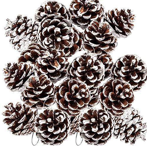 Natural Pine Cones, 25pcs Rustic Snow Pine Cones with String - Winter Holiday Hanging Ornament for Xmas Tree Gift Tag Party Decoration (4-5cm)