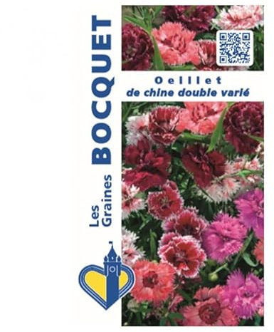 Sachet de graines de Oeillet de Chine double varié - 1,2 g - fleur annuelle - LES GRAINES BOCQUET