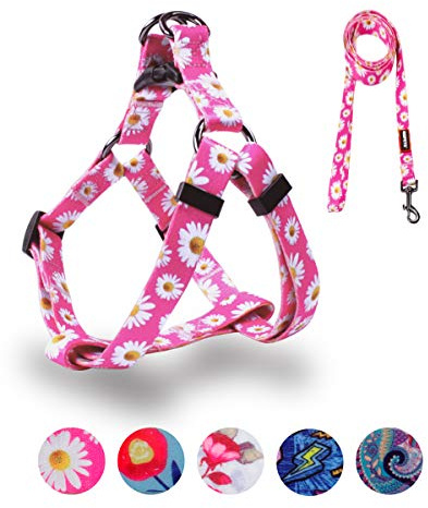 QQPETS Dog Harness Leash Set Adjustable Heavy Duty No Pull Halter Harnesses for Small Medium Large Breed Dogs Back Clip Anti-Twist Perfect for Walking (S(14-20 Chest Girth), Daisy)