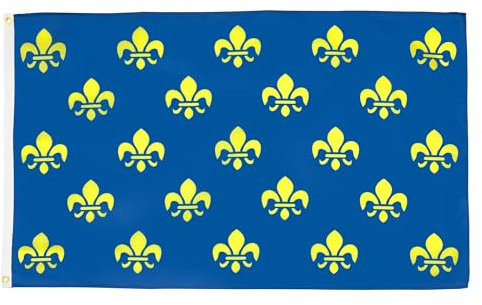 AZ FLAG - Drapeau Fleur de Lys Bleu et Or - 90x60 cm - Drapeau Royal Français 100% Polyester Avec Oeillets Métalliques Intégrés - Pavillon 50 g