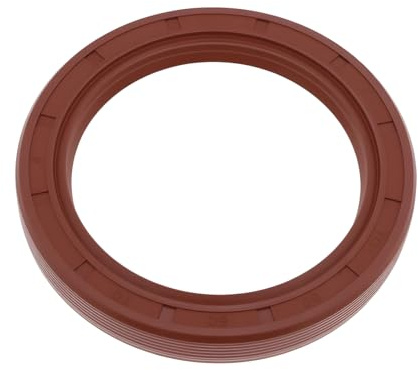 Briny River 1 x TC 60 x 80 x 10 mm Simmerring guarnizione albero guarnizione FPM FKM paraolio