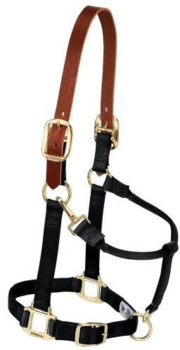 Weaver Equine Nylon Horse Halter, Supple Leather Crown, Adjustable Brass Throat Snap Halters for Horses, Equine Tack,Average Size, Black