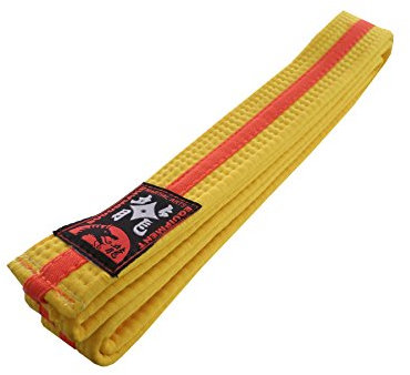 Budodrake Karategürtel gelb-orange-gelb Mittelstreifen Judogürtel Taekwondogürtel (240)