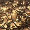 560er Cluster-Lichterkette LEDs Kabel Dunkelgrün warmweiß Innen und Außen Kabel Dunkelgrün Trafo