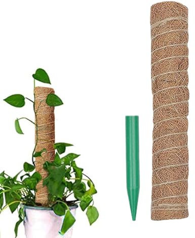 Soporte para plantas de musgo, soportes extraíbles para plantas, postes de musgo de fibra de coco Monstera, enrejado, estacas de plantas de interior para pothos, filodendro, interiores y exteriores