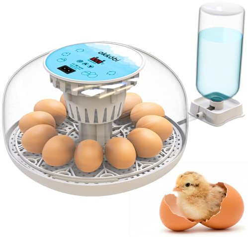 Okkobi M12 - Incubadora Huevos Gallina Automática - 12/24 huevos, Vista 360°, fácil de usar y limpiar - Volteo Automático y Control de Humedad - Chocadeira Ovos Automática