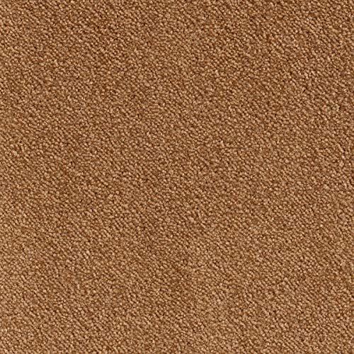 BRICOFLOR Teppichboden Meterware 500 cm und 400 cm breit in Braun ideal für Wohnzimmer und Esszimmer Kräuselvelours Auslegware angenehm weich (4 m x 5 m)