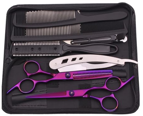 Hair Scissors Hairdressing 6 Haircut Set Thinning Shears Razor Combs C1001(C1001 Zi-K-B)
