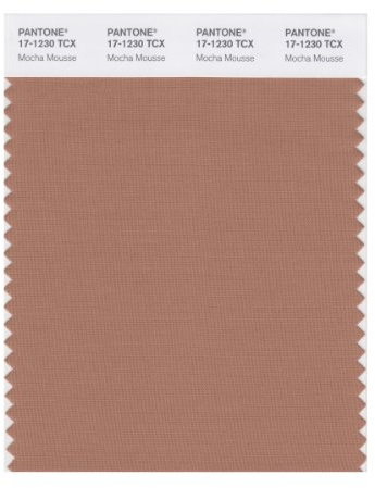 Pantone Smart 17-1230X Color Swatch Card, Mocha Mousse