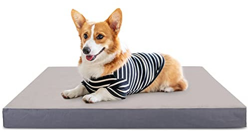 Nobleza Hundebett für Kleine Hunde, 75x50x8cm Hundekissen, Orthopädisches Hundematte, Waschbar Hundematratze, Größe M, Grau