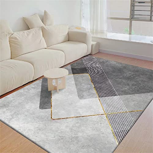 Kunsen deko Wohnzimmer helles Luxus-Sofa mit großflächigem Teppich Schlafzimmer Couchtisch bedeckt bettvorleger rutschfest grau 6ft 7''X9ft 10'' Jungenteppich200X300CM