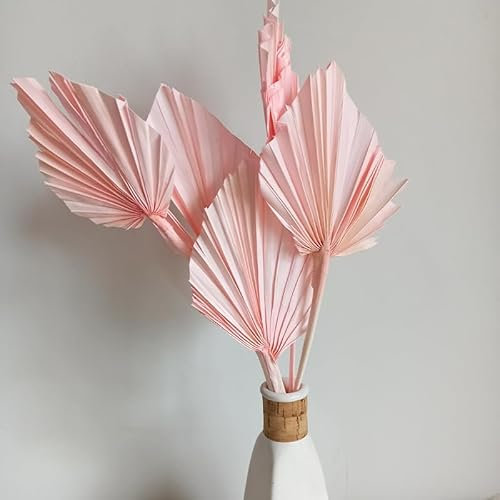 LEEMASING 5 ventagli di palma con foglie secche, per composizioni floreali fai da te, decorazione per la casa e per matrimoni (rosa)