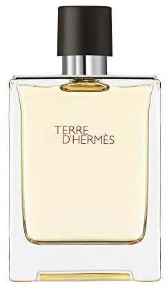 Hermes: Terre dHermes homme/man, Eau de Toilette, Vaporisateur/Spray (100 ml)