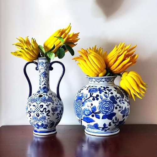 buddhas hand zitrone - obst samen bonsai samen zwergobstbäume säulenobst tree exotische pflanzen saatgut balkon pflanze bäume kaufen obst pflanzen balkonpflanzen 80pcs