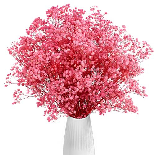Gipizi Dried Baby's Breath Flowers Pink, 17inch Dried Natural Flowers Babys Breath Bulk with 3000 Buds, Real Dry Gypsophila for Wedding, Party, Wreath Floral DIY, Home Decor (Pink)