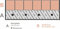 Schachtabdeckung Edelstahl Schachtdeckel auspflasterbar Gullideckel A15 EN124 Höhe 80 mm (Edelstahl, 900 x 900 mm)