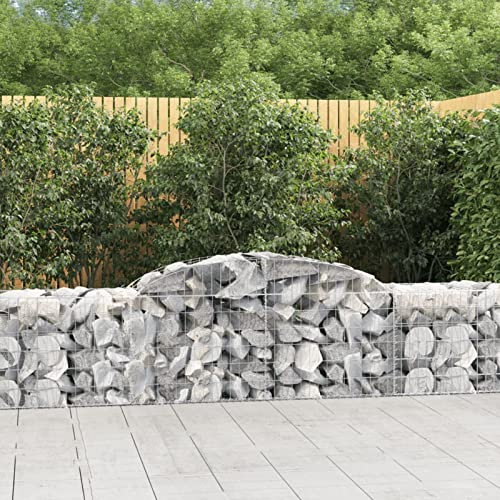 Iiaky Cestas de gaviones 12 uds Forma de Arco Hierro 300x50x60/80 cm Huerto Urbano