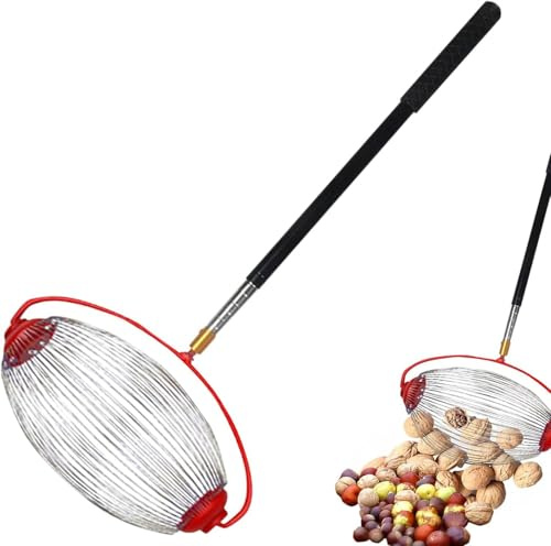 Nusssammler,Walnuss Sammler,Eichelpflücker Obere Walze Obstsammler Rollsammler Obstpflücker mit Teleskopstiel Apfelpflücker Große Kapazität Tragbar Sammler für Walnüsse Pekannüsse Kastanien (34cm)