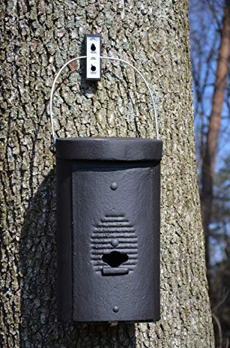 Schwegler Fledermaus-Großraumhöhle Typ 1FS