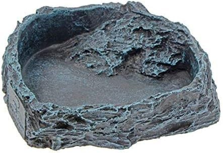 RUIAN Reptile Feeding Bowl Dish Bearded Dragon Food Water Terrarium Dish for Lizards, Geckos, Snakes, Tortoises, Chameleons(Large)