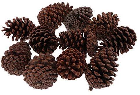 freneci 10pcs Grandes Pommes De Pin Séchées Naturelles pour La Décoration Suspendue d'arbre De Noël - B 8-10CM