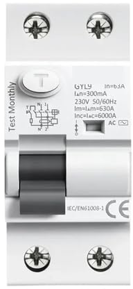 Disjoncteur différentiel électromagnétique de type AC, disjoncteur différentiel AC ELCB 2 pôles 25A 40A 63A 100A RCD 30mA 100mA 300mA(2P 63A,30mA)