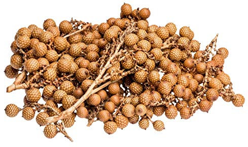 NaDeco Rattan-Frucht-Zweig, Packung mit ca. 500g, Größe ca. 6 bis 10cm Calamus longisetus Rattan Fruit Branch Deko-Zweig mit Früchten Rattan-Zweig Dekozweig Dekoast exotische Deko Naturdeko