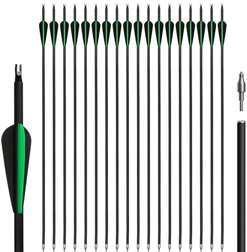 NorthSpoor 18 Pcs Archery Carbon Arrow Set, 30 Inch with Removable Arrows for Compound and Recurve Bows Practice Hunting Arrows