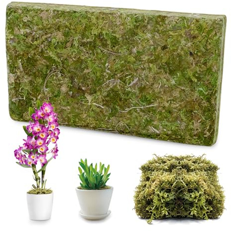 Sphaigne Mousse Sèche 200g, Mousse De Sphaigne Naturelle pour Orchidées Phalaenopsis, Hydratant Durable Pur et Écologique, Substrat Horticole pour Reptiles Terrariums Plantes Tropicales Décoration