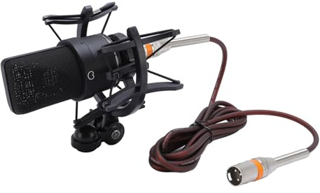 Topiky Ensemble de Microphones à Condensateur, Micro à Diaphragme de 26 Mm pour Podcasting, Chant, Diffusion en Direct avec Câble XLR Résistant aux Chocs (Black)