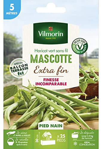 Vilmorin Graines de Haricot Mascotte - 5 m