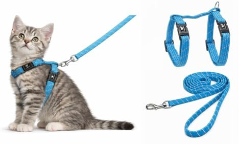 Harnais pour Chat - Chaton Elza Bleu - 15-22cm - 20-30cm - Laisse 120cm - Nylon réglable - réfléchissant - avec Mousqueton