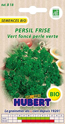 Graines de Persil Frisé Perle Verte BIO - 3 grammes