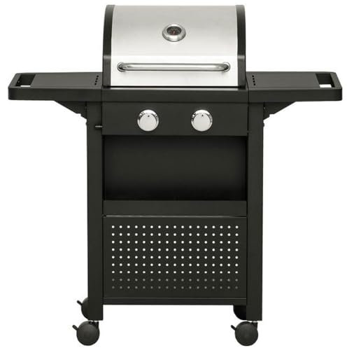 BAKAJI Barbecue a Gas Professionale Acciaio Inox 2 Fuochi Bruciatori Con Termometro e Manopole di Controllo Ripiani Laterali Richiudibili Cestello Portacondimenti Frontale Con 4 Ruote Bloccabili