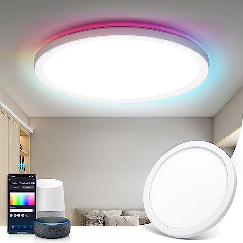 Aigostar Lampara Techo Inteligente,22W 1900 LM 2700K-6500K, Plafon LED Techo RGB WIFI Compatible con Alexa y Google Home, Lamparas de Techo Regulable para Salón/Dormitorio/Cocina/Comedor, Φ30 CM