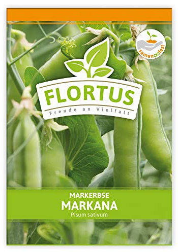 FLORTUS Markerbse Markana | Gemüsesamen | Markerbsensamen | Samen zur Anzucht für Garten, Balkon, Küche & Fensterbank